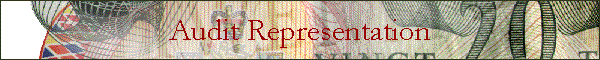 Audit Representation